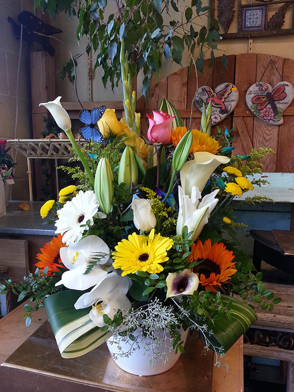 Container arrangement No.75