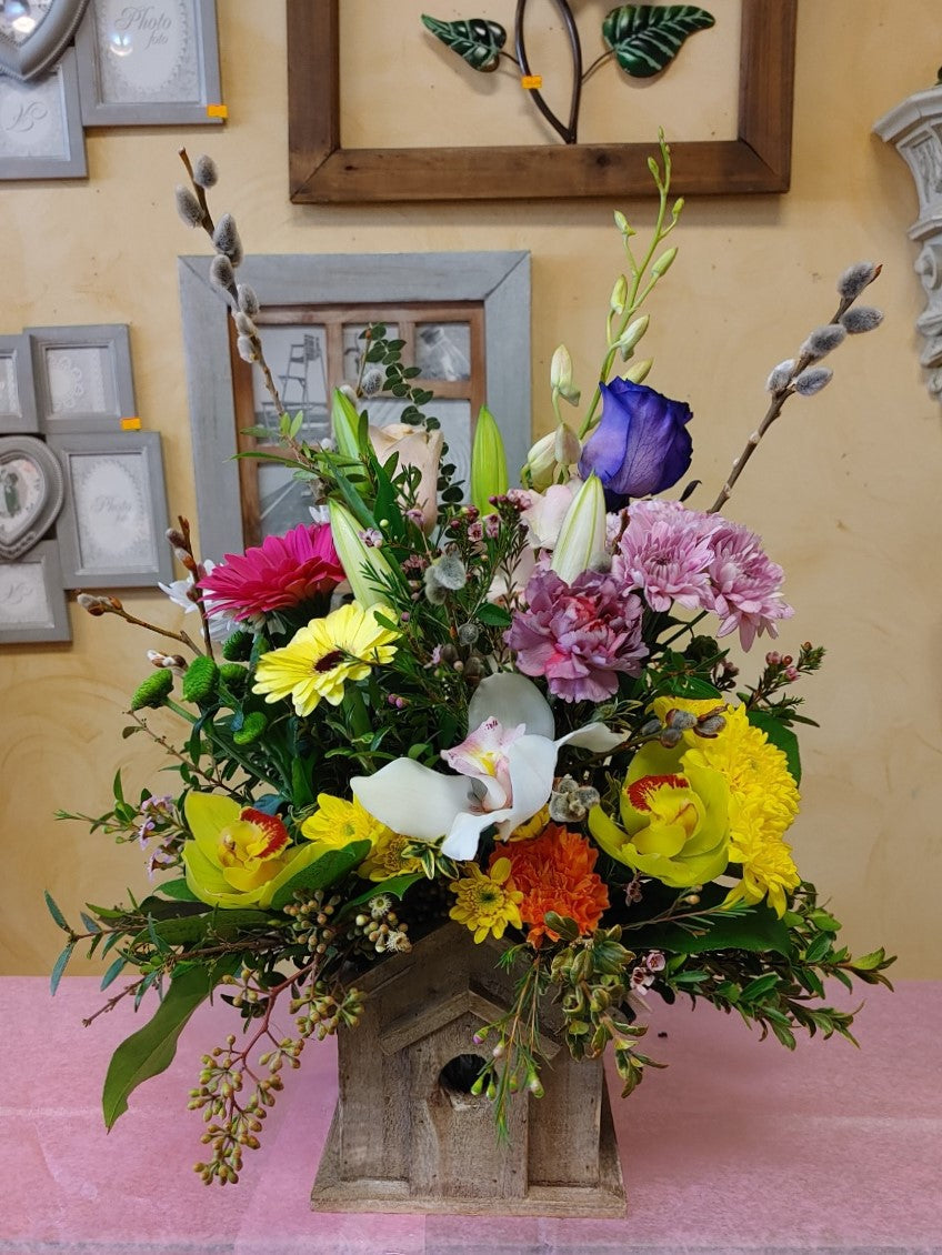 Container arrangement No.79