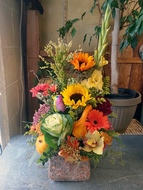 Container arrangement No.85